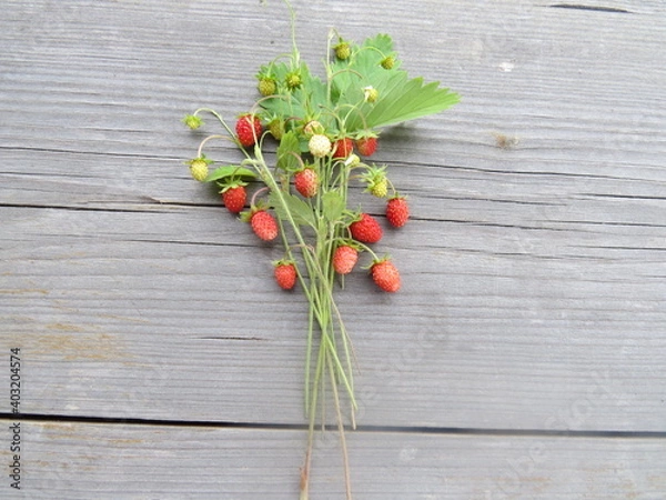 Obraz red berries on wooden table