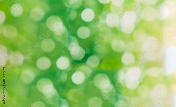 Obraz green bokeh abstract background