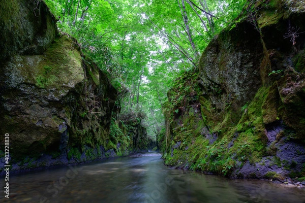 Obraz 樽前ガロー