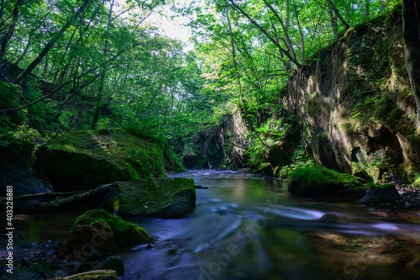 Obraz 樽前ガロー