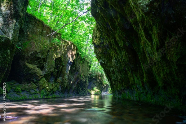 Obraz 樽前ガロー