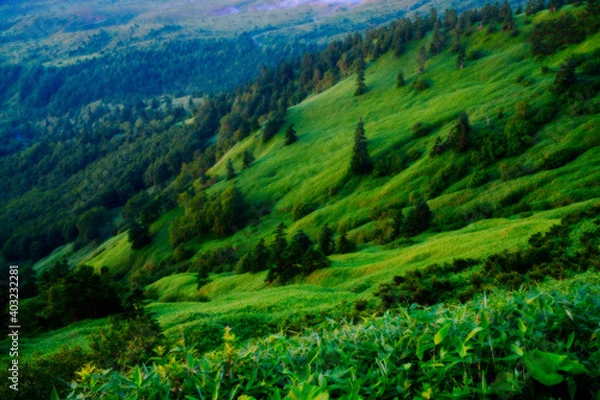 Obraz ふわっとした渋峠・芳ヶ平湿原