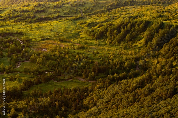 Obraz 芳ヶ平湿原