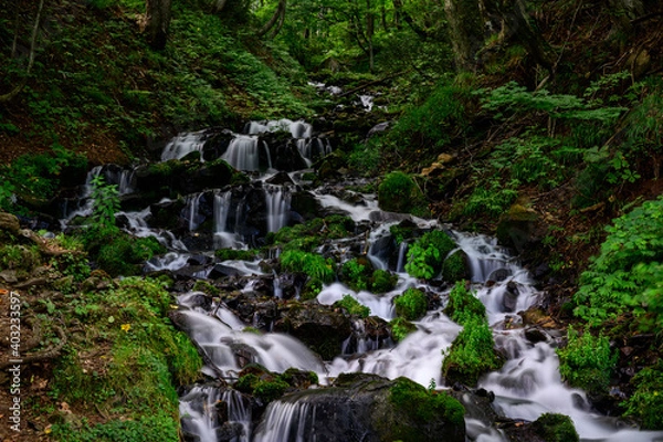 Obraz 強清水の滝