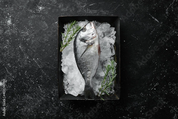 Fototapeta Raw dorado fish on ice. On a dark background. Top view. Flat lay.