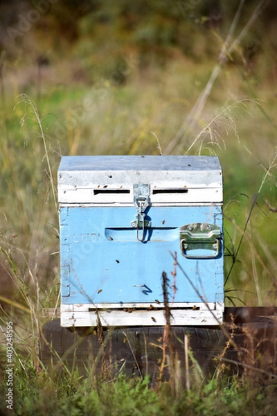Obraz Wooden Bee Hive