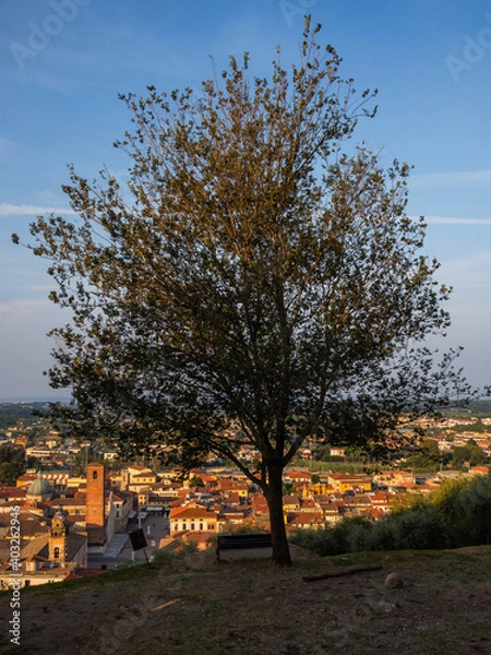 Fototapeta Pietrasanta a typical medieval town of Tuscany