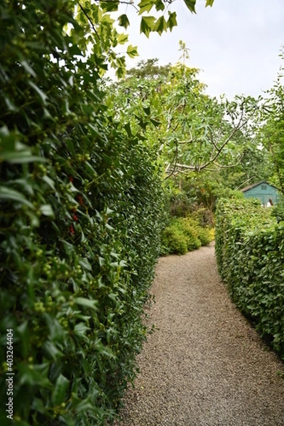 Obraz Path in the garden