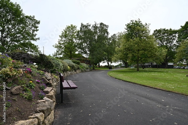 Obraz Road in the park