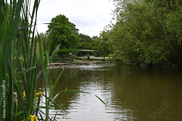 Obraz Lake in the park