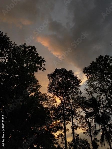 Fototapeta beautiful sunset view