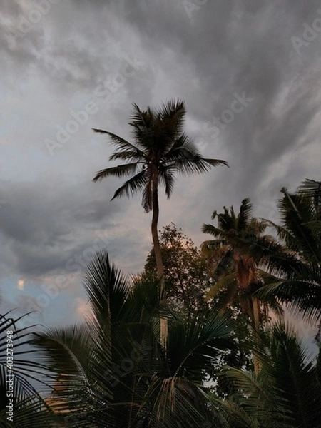 Fototapeta beautiful sunset view