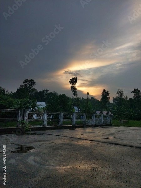Fototapeta sunset in the park