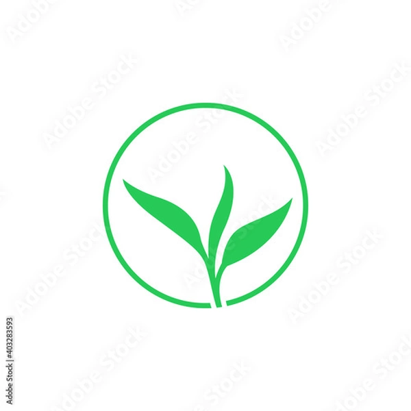 Obraz Tea leaves flat vector illustration