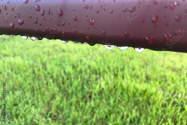 Obraz Close-up of raindrops on a burgundy metal beam of a garden swing against a background of grass on a green lawn