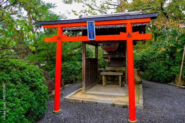 Fototapeta 京都　竜安寺