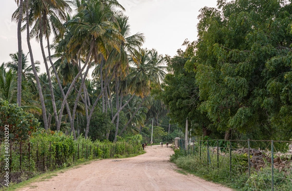 Fototapeta Hampi, Karnataka, India - November 4, 2013: Prasanna Virupaksha underground Shiva Temple. The dirt road to the sanctuary with green foliage on both sides and a group of cattle under silver sky.