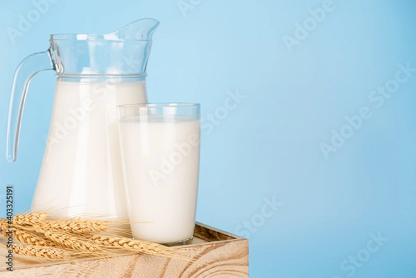 Fototapeta Jug and bottle of fresh milk glass on barley wheat and wooden crate box on a blue background.Raw milk is high in calcium and protein to drink for all ages.Milk consumption nutritious.