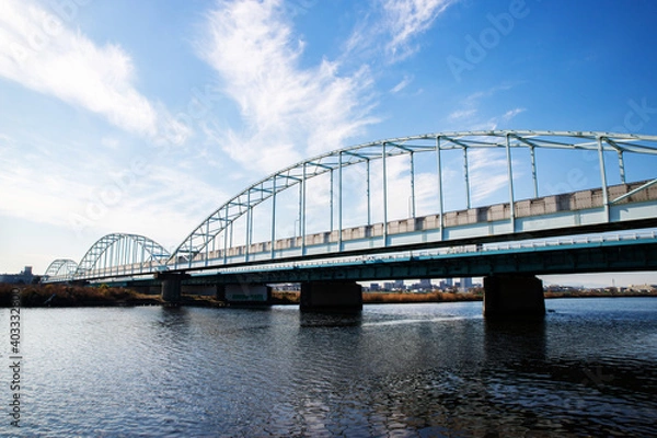 Obraz 多摩川大橋