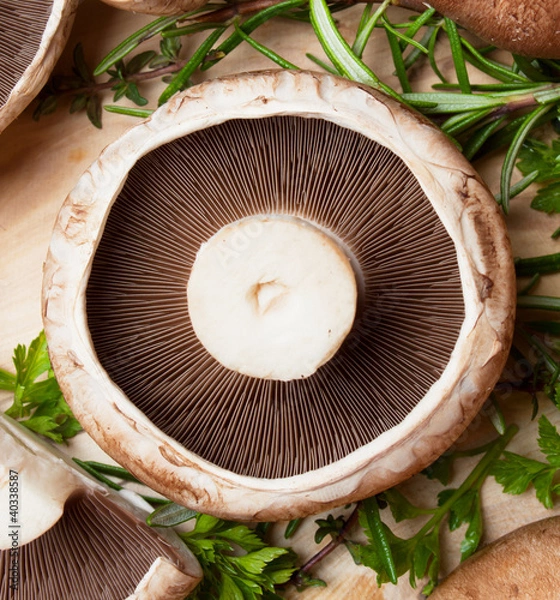 Obraz Raw portabello mushroom