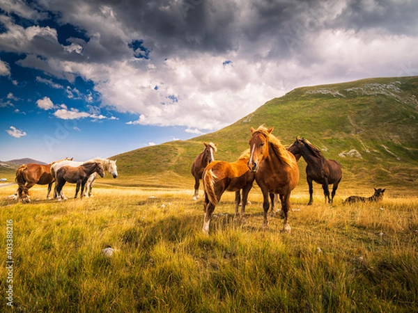 Obraz Campo Imperatore