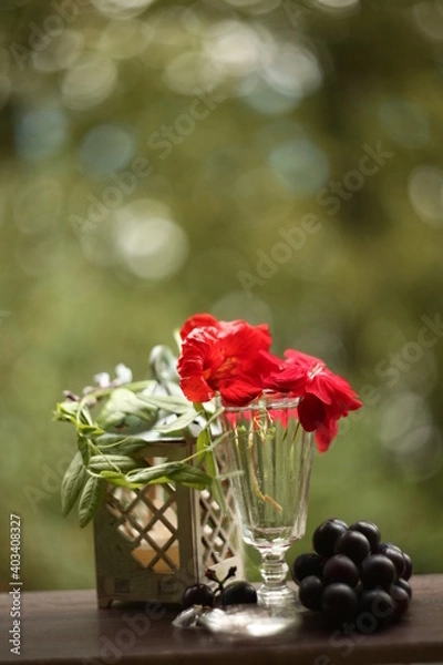 Obraz Grapes and flowers