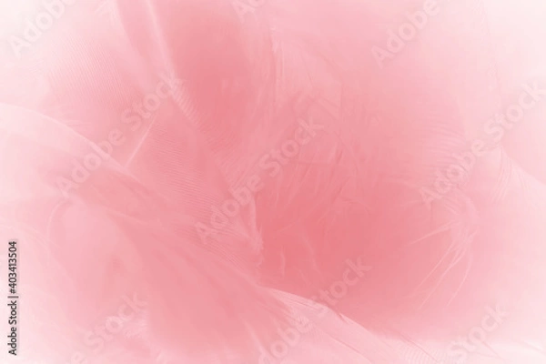 Fototapeta Beautiful light pink feather pattern texture background
