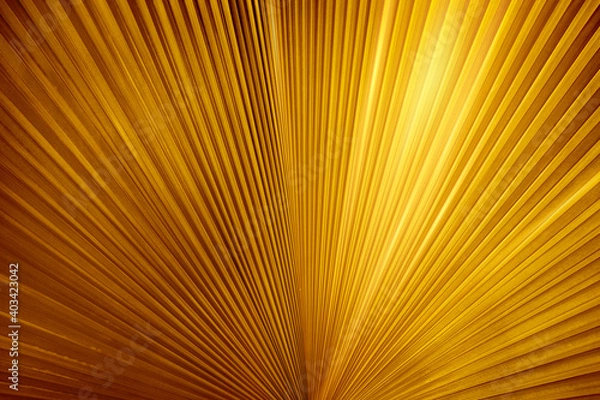 Fototapeta gold background for premium products
