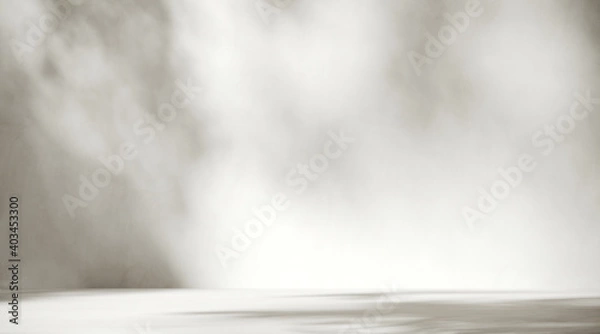 Fototapeta Minimalne abstrakcyjne tło do prezentacji produktu. Cień przeciwsłoneczny na białej ścianie gipsowej. ilustracja renderowania 3D. Uwzględniono ścieżkę przycinającą każdego elementu.