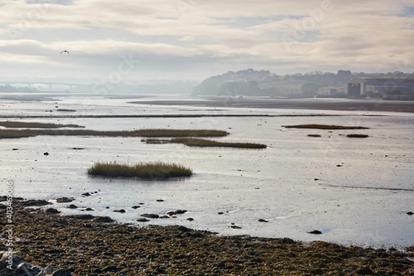 Fototapeta River Taw looking toward Bideford with ship building docks of Appledore