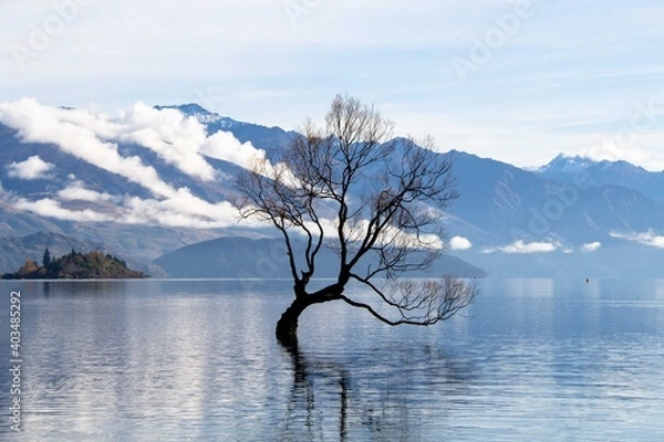 Obraz INÉDITO ÁRBOL DENTRO DEL MAR