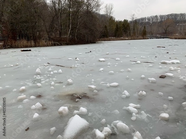 Obraz river in the snow