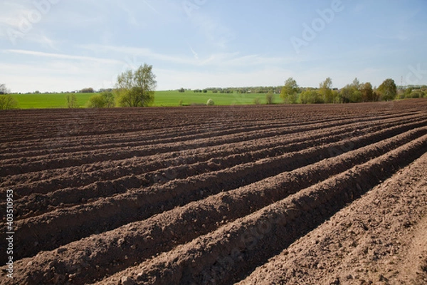 Fototapeta Colours of spring - ploughed field ready to sow. Agricultural fields in Russia.
