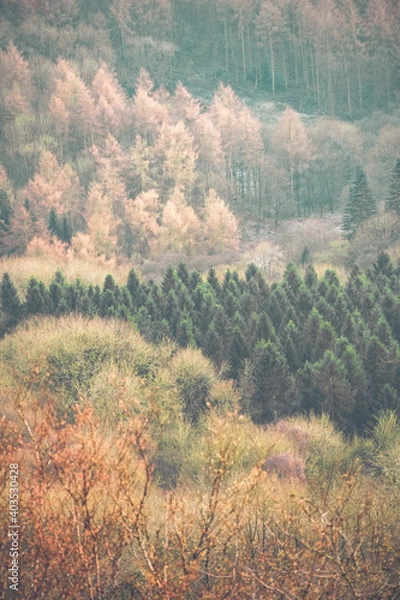 Obraz autumn in the mountains