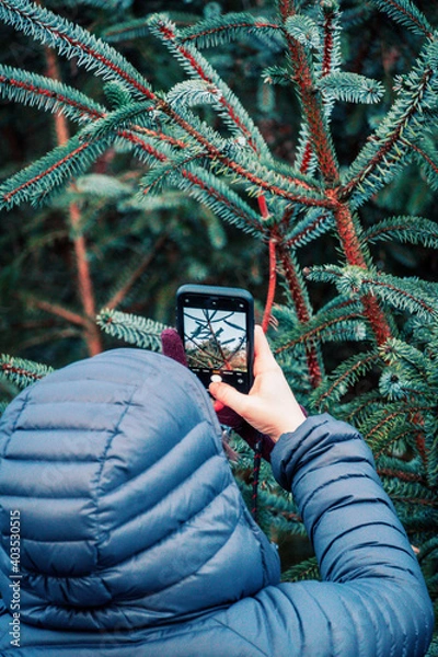 Obraz person holding a tree