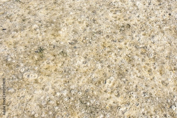 Obraz texture background