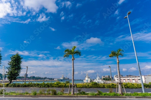 Fototapeta 那覇空港からのヤシの木