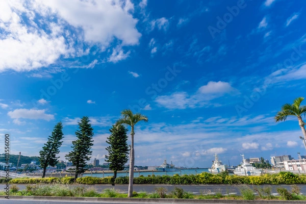 Fototapeta 那覇空港からのヤシの木