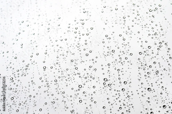 Obraz Water drops on the window