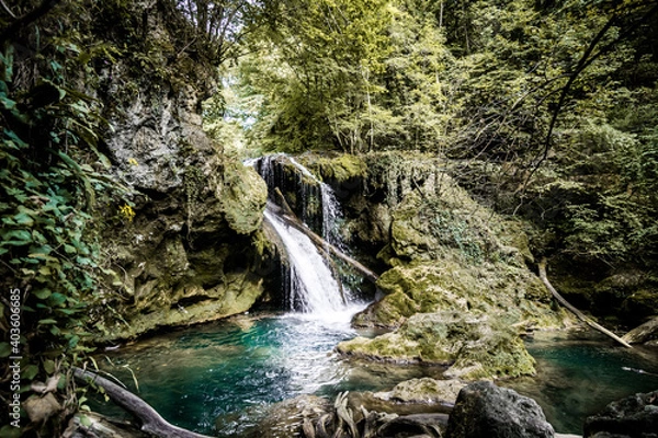 Obraz waterfall in the woods
