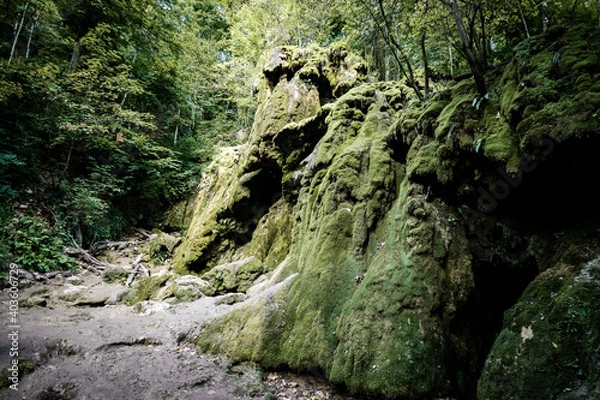 Obraz rocks in the forest