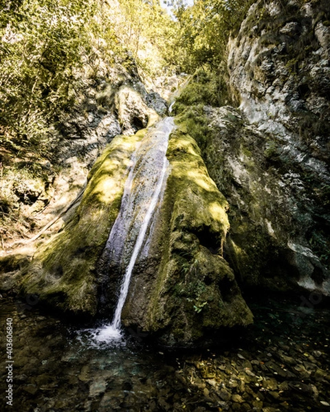 Obraz waterfall in the forest