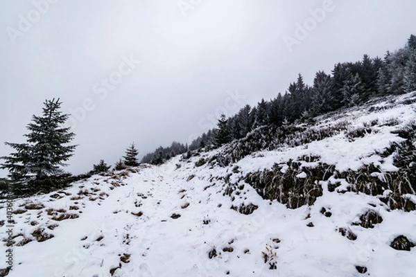 Obraz snow covered mountains