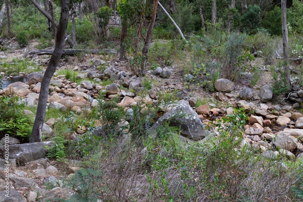 Obraz Bushwalking at the grampians