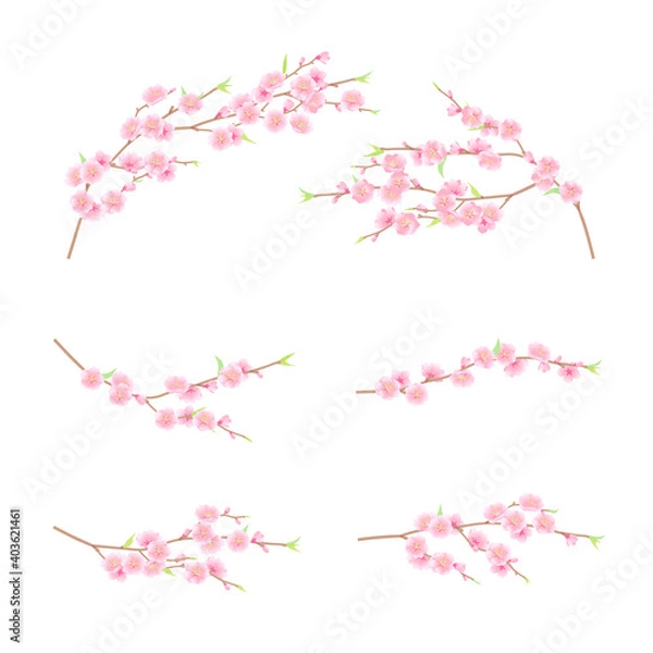 Obraz 華やかな桃の花のベクターイラスト