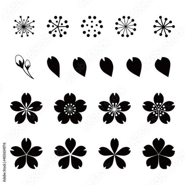Fototapeta Cherry blossom icon. Vector illustration set. White background.