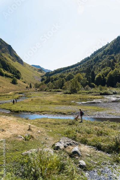 Obraz Beautiful colorful forest during autumn in Yosemite Park
