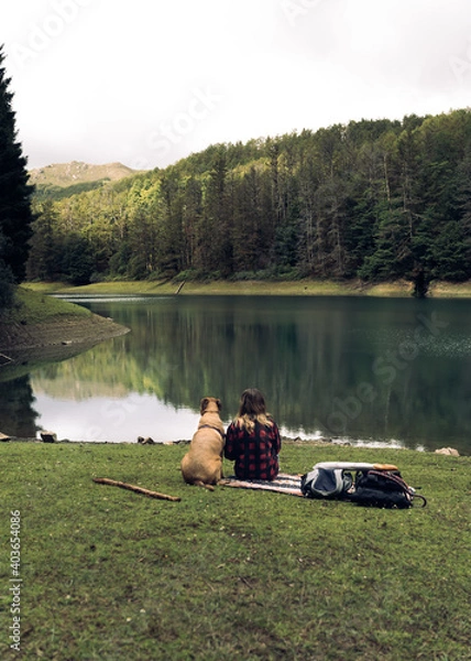 Obraz One person walking throw an atumn forest with a dog in Yosemite Park