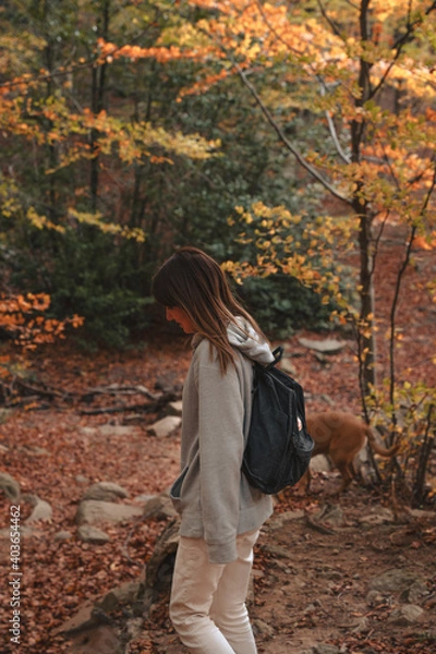 Obraz One person walking throw an atumn forest with a dog in Yosemite Park