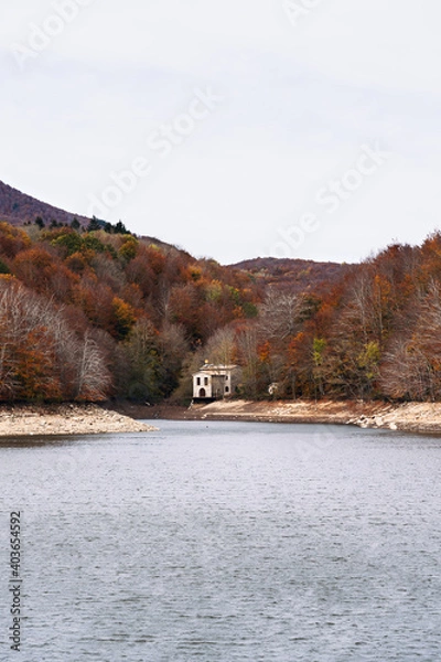 Obraz Beautiful colorful forest during autumn in Yosemite Park